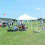 The Cobras R/C Club